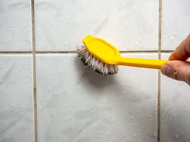 Best Affordable Mold Removal  in Belle Rose, LA