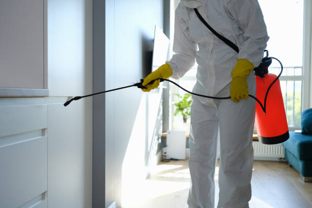 Mold Testing and Removal in Belle Rose, LA